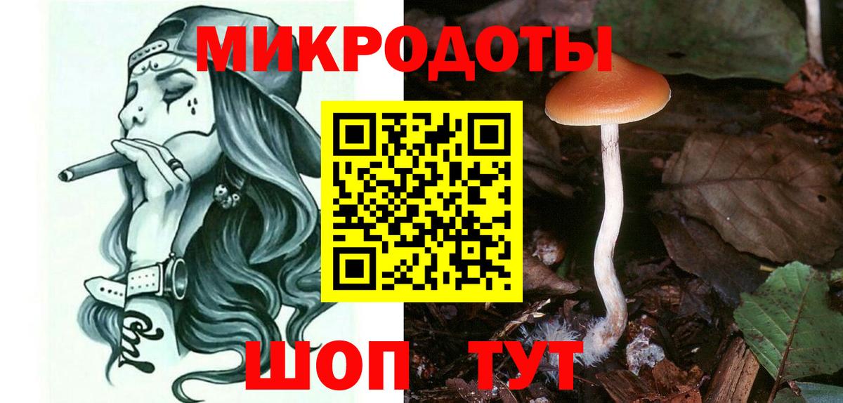 Псилоцибиновые грибы Psilocybe  Вход с VPN  Партизанск 