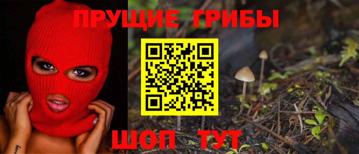Псилоцибиновые грибы прущие грибы Партизанск